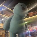 크레이지카츠광주 이미지