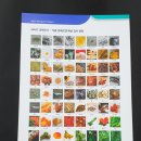 연세세란피부과의원 이미지