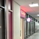 반짝이는 그루밍 하우스 이미지