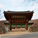 송림사 명부전목조시왕상과 제상 이미지