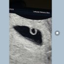 반포쇼핑타운 4,8동 | 그냥 여기 가세요, 임신초기 여의사 산부인과 추천 / 강남 고터 반포 이효진 산부인과(주말 진료도 함)