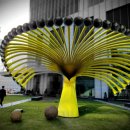 조가네왕족발보쌈 이미지