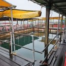 부흥호좌대2낚시터 이미지