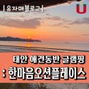 밍키애견 | 태안 애견동반 글램핑 / 맛조개 갯벌체험