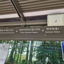 임학공원 출렁다리 이미지