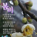 즐기자요 이미지