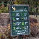 도시숲(석남녹지도시숲) 이미지