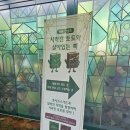메이즈랜드 | 2025년 에버랜드 오즈 탐정 사무소 힌트+정답/ 2025 에버랜드 호러메이즈 내돈내산 후기