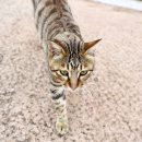 연오랑세오녀테마공원 귀비고 이미지