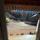 백의리층 탐방안내소 | [강원 인제] 설악산 백담사 가을 후기 동서울출발도착 당일치기 여행 추천