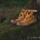 고이비토광주 - 동구 독립로264번길 4-1 | 고이비토광주