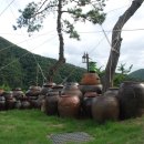 청벽비발디펜션 이미지