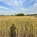 김신경정신과의원 이미지