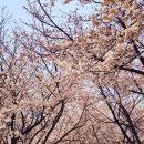 낙동강변4 이미지