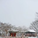 사시사철愛 | 서산대사(西山大師)-踏雪野中去(답설야중거) /눈 내린 들판을 걸을 때에는 어지러이 걷지 말라 오늘...