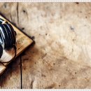 비전치과의원 이미지