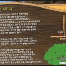 답내2리 이미지