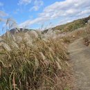 소리의섬 이미지