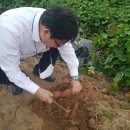 포니힐링관광민박 이미지