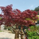 남양 보훈회관 | ●2018년도 가우회 역사일지