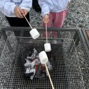 미리내캠프 | 양평 미리내힐빙클럽 카라반 파크 숙박 바베큐 후기