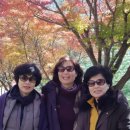 여행스케치 이미지