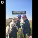 221122 태오인더월드(캠핑카로 누비는 12일간의 캐나다 도그 트립 12월, 커밍쑨! tvN!!)+릴스 이미지