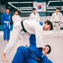 성남유도관 이미지