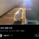 이지도예 이미지