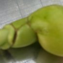 부엉이 농장 이미지