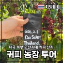 외딴농장 | 태국 치앙마이 액티비티 도이사켓 커피농장 체험 투어 내돈내산 후기