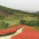 영인산수목원 이미지