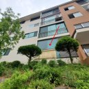 싸리말로 이미지