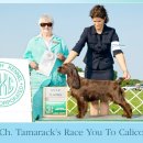 AKC's Weekly Winners Gallery - June 23, 2010 이미지