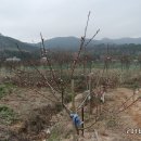 바이오농장 이미지