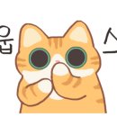 바이복 이미지