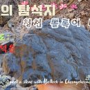 뽈록이네