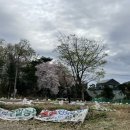 호인농장 이미지