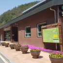 향로산 자연휴양림 수영장 이미지