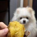 프루츄 이미지