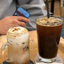 인투캣츠 이미지