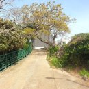 백패커스빌라제주 이미지