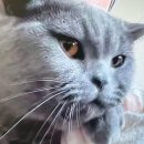 휴고김밥 | 인생에 아름다움이 가득하기를