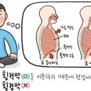 [예쁜 말 바른 말] '횡격막'과 '횡경막' 이미지