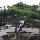 경초루 네이버블로그