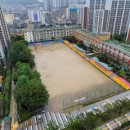 성남제일초등학교 이미지