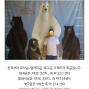 판다는 큰 곰일까 작은 곰일까? 곰 종류별 비교 이미지