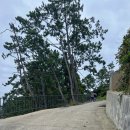 도락민박 | 경남 거제 이수도 가족여행, 섬 둘레길 트레킹(해안산책로/벽화마을/둥지슈퍼 팥빙수,치킨/낚시포인트...