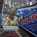 꽃가지화원 | 남대문 꽃시장 꽃다발 포장 토요일 방문후기 (포장은 에덴화원)