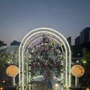 신데렐라 파크 | 인천여행 송도 가볼만한곳 센트럴파크 문보트 탑승후기 밤바다 야경 최고